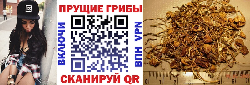 Псилоцибиновые грибы GOLDEN TEACHER  где можно купить   Верхний Тагил 